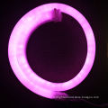 LED flexible neon lights with pink bulbs, 12, 24, 110, 220V